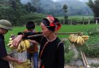 femme dao ha giang nord du vietnam