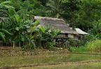 maison traditionnelle pu luong vietnam