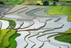 rizieres en terrasse mu cang chai