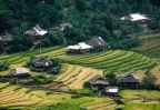 rizieres en terrasse mu cang chai