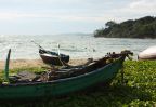 bateau mango bay