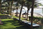 cocotiers plage mui ne