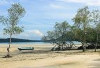mangrove maree basse