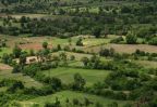 foret île de la soie