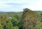 phnom kulen en haut