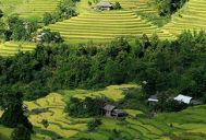 riziculture ha giang