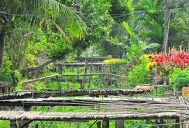 jardin fleurs sa dec