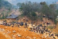 marche can cau lao cai