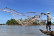 cambodge nature et culture