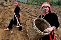 Immersion en terres inconnues du Vietnam