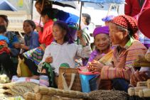 hmong fleur