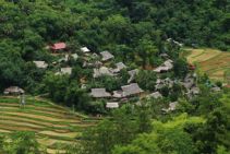 De la reserve de Pu Luong a la baie Halong