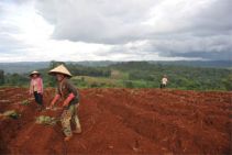 Triologie sud vietnam