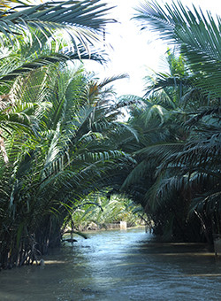 ben tre