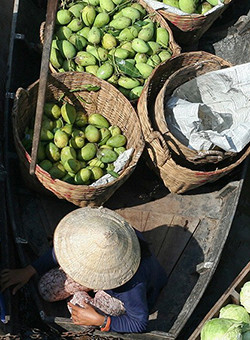 delta mekong