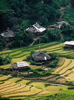 grand nord vietnam