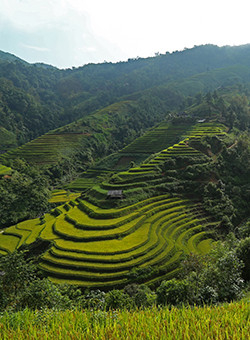 ha giang
