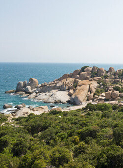 panduranga