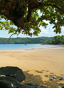 con dao