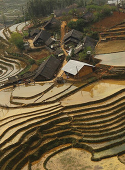 sapa