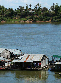 koh dach