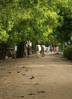 Kompong Cham