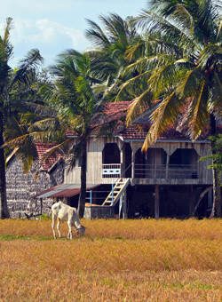 Kampot