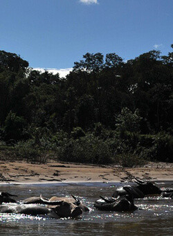 Ratanakiri