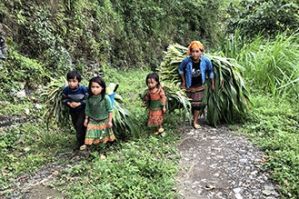 Vie locale Nord Vietnam