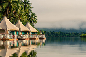 Canvas & Orchids Retreat