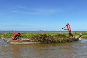 vie locale boping cambodge