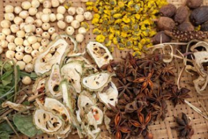 médecine traditionnelle vietnamienne