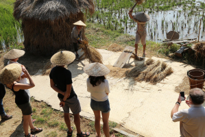 battage du riz Luang Prabang Laos
