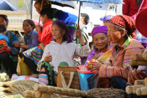 hmong fleur