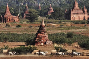 découverte birmanie