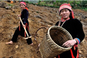 Immersion en terres inconnues du Vietnam