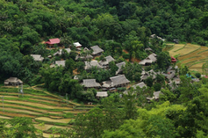 De la reserve de Pu Luong a la baie Halong