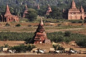 découverte birmanie