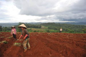 Triologie sud vietnam