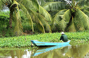 pêcheur Go Cong