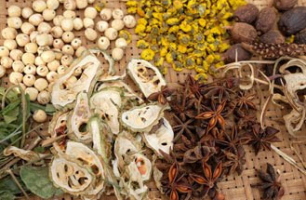 médecine traditionnelle vietnamienne