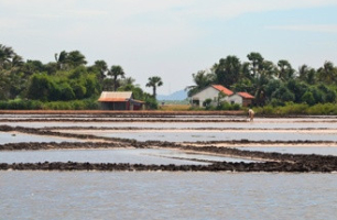 marais salants kampot