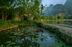 Tam Coc Garden Ninh Binh