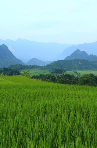 reserve naturelle pu luong