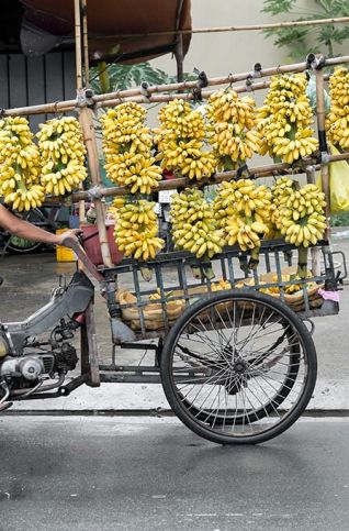 vendeur fruits delta mekong