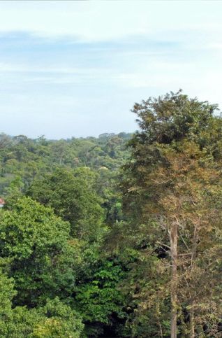 phnom kulen en haut