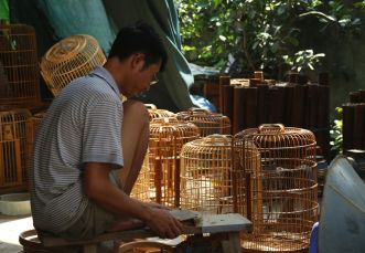 cage oiseaux village vac hanoi