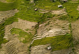 rizières terrasses hoang su phi