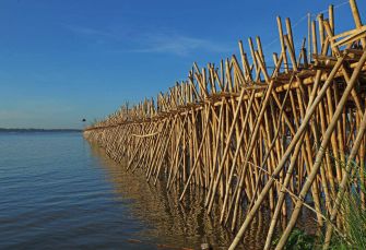 pont bambou