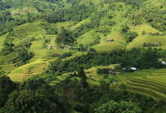 rizieres en terrasse ha giang vietnam